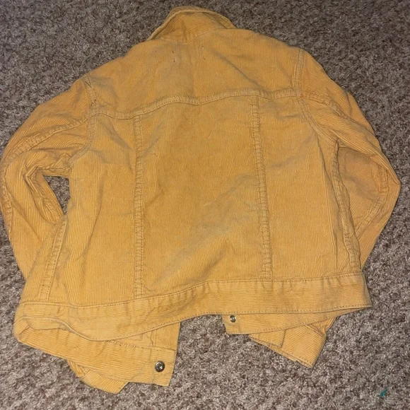 Yellow Jacket - Picture 2 of 3